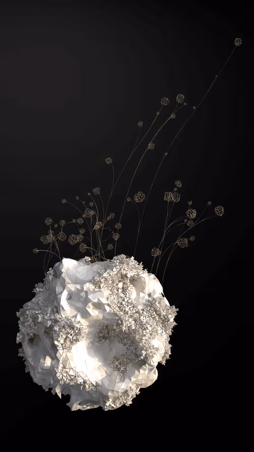 Item #50300020004 Media