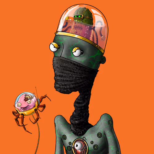 The Odd Dystrict Official