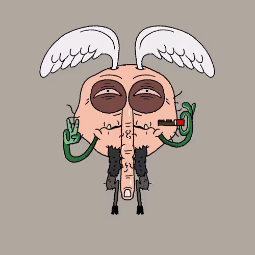 The Flyz 1