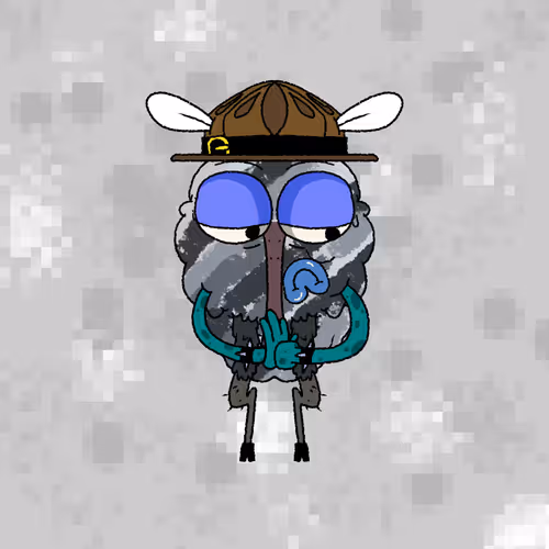 The Flyz 1