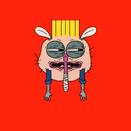 The Flyz 1