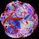 Transmutation XXI