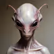 1171