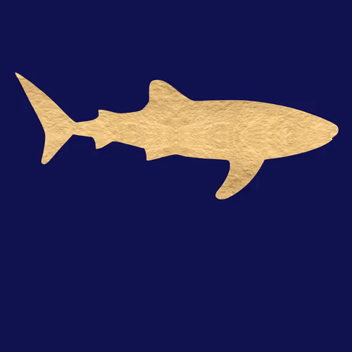 WhaleShark gold-sq