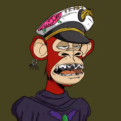 1241