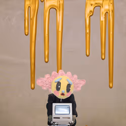 29