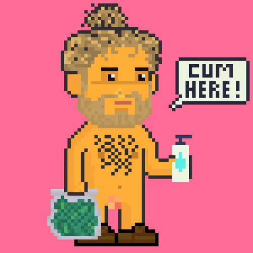 Pixel Hub
