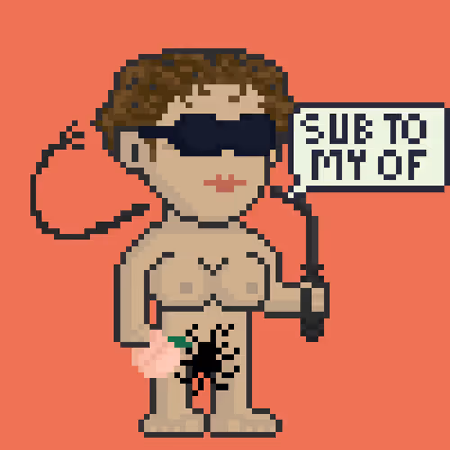 Pixel Hub