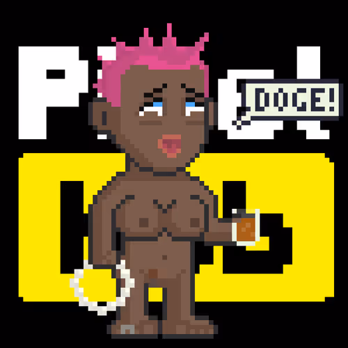 Pixel Hub