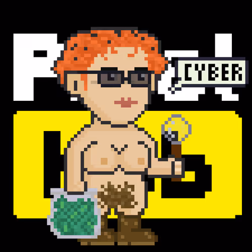 Pixel Hub