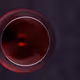Abstract Vineverse