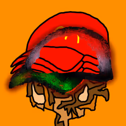 81