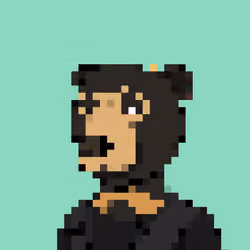 EightBitBears #9936