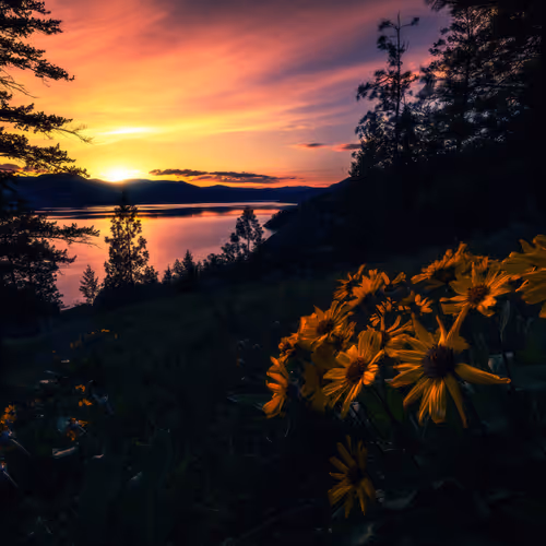 Cross Country Canada