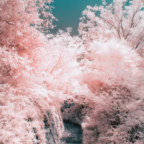 Fragments of Unreality