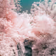 Fragments of Unreality