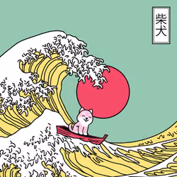 504