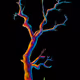 Late Night Trees