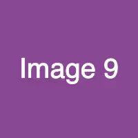 Item #8 Media