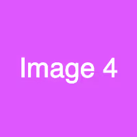 Item #7 Media