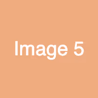 Item #4 Media