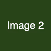 Item #10 Media