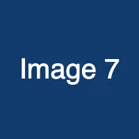 Item #5 Media