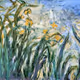 430