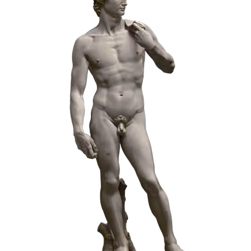 Elmonx David
