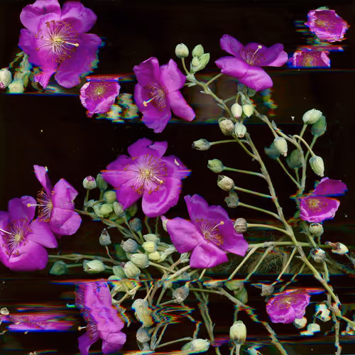 Ashira Fox: Garden Glitch