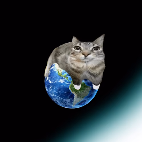 MondoCat
