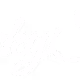 Lucky Star AI Digital Expressions