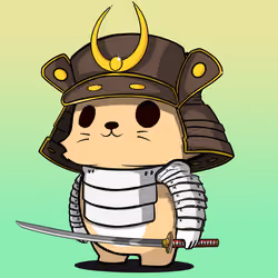 GATTO #60