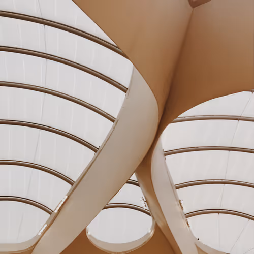  Transcendence and Immanence