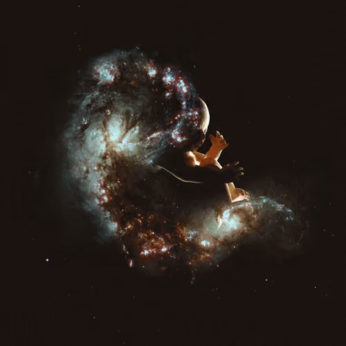 Stardust by Fran Rodriguez