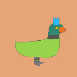 80