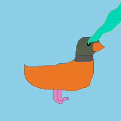 127