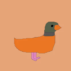 223