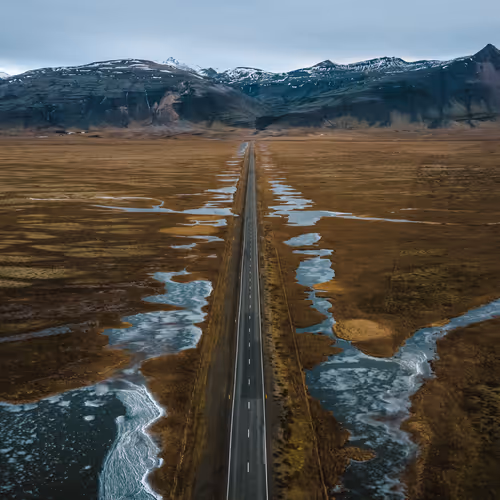 Quest of the Shadow Dragon - Auction