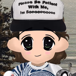 1291