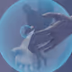 Lycan.eth