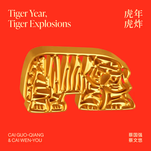Tiger Year Tiger Explosions
