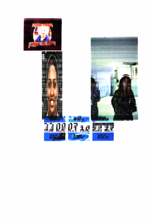 Item #35 Media