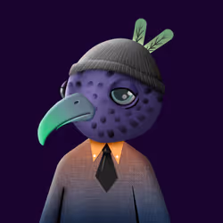 55