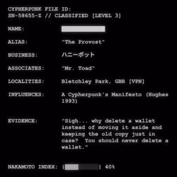 CYPHERPUNK FILES #2516