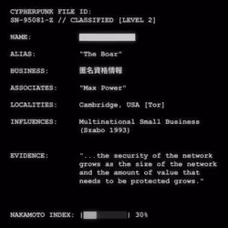 CYPHERPUNK FILES #981