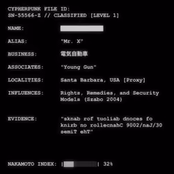 CYPHERPUNK FILES #3072