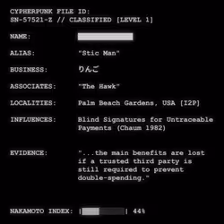 CYPHERPUNK FILES #3146