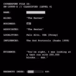 CYPHERPUNK FILES #2406