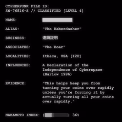 CYPHERPUNK FILES #9173